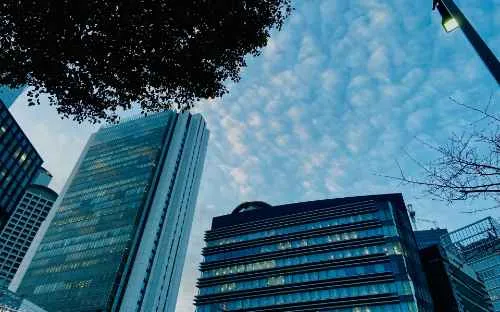 資金調達支援実績：FC本部