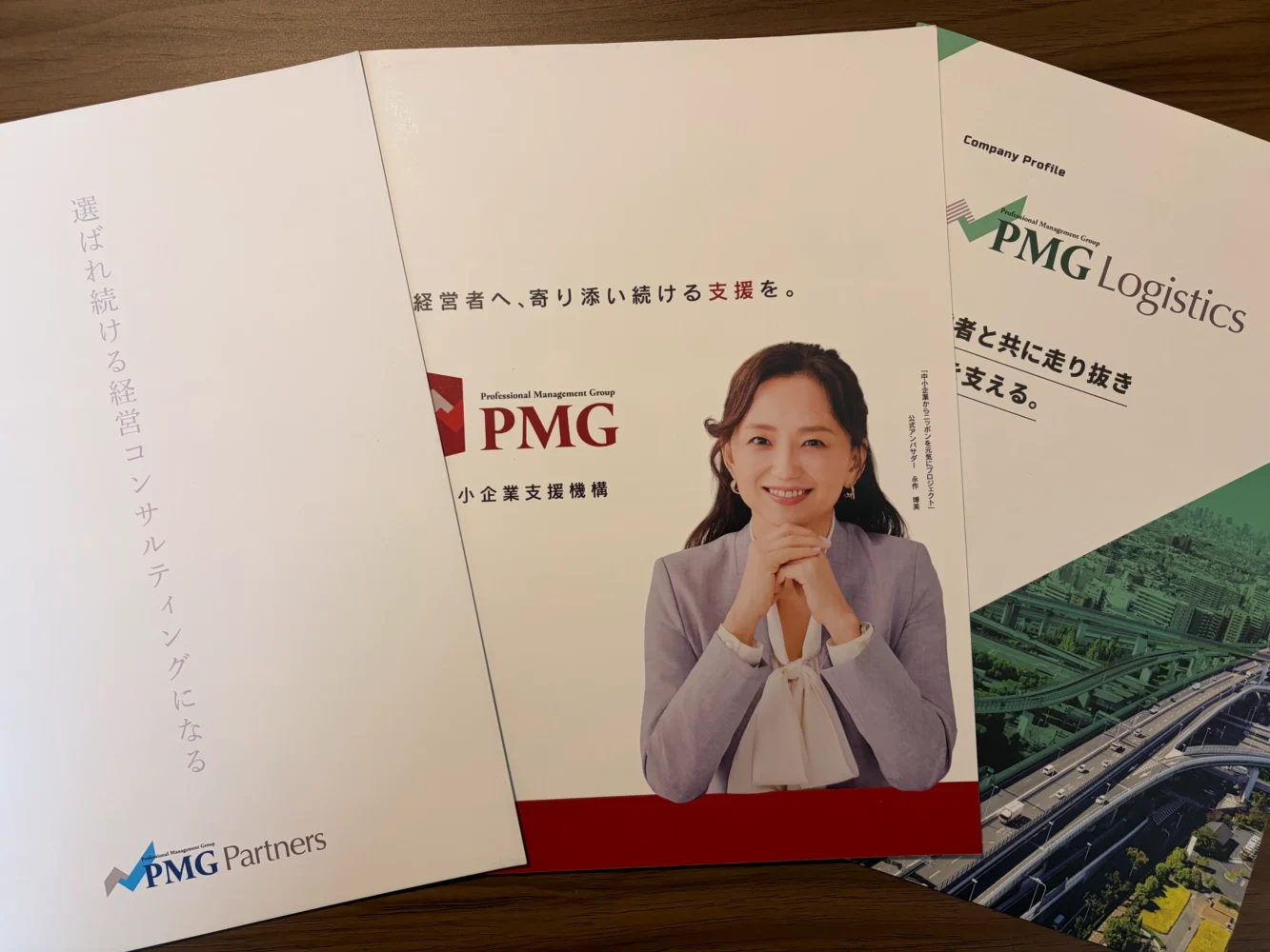 PNG・PMGPartner・PMGLogisticsのパンフレット_PMG社員やPMGグループ会社からいただいた資料_融資代行プロ